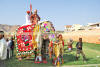 Images of Elephant Festival Jaipur: image 1 0f 32 thumb