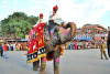 Images of Teej Festival Jaipur: image 11 0f 24 thumb