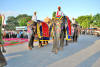 Images of Teej Festival Jaipur: image 14 0f 24 thumb