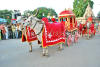 Images of Teej Festival Jaipur: image 16 0f 24 thumb