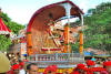 Images of Teej Festival Jaipur: image 23 0f 24 thumb