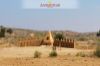 Images of Longewala War Memorial Jaisalmer: image 3 0f 32 thumb