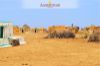 Images of Longewala War Memorial Jaisalmer: image 32 0f 32 thumb
