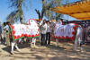Images of Cattle Fair Nagaur: image 6 0f 32 thumb