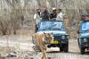 Images of Ranthambhore National Park: image 6 0f 56 thumb