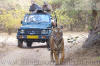 Images of Ranthambhore National Park: image 1 0f 56 thumb