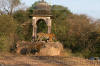 Images of Ranthambhore National Park: image 49 0f 56 thumb