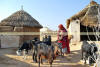 Images of Rural Rajasthan: image 3 0f 20 thumb