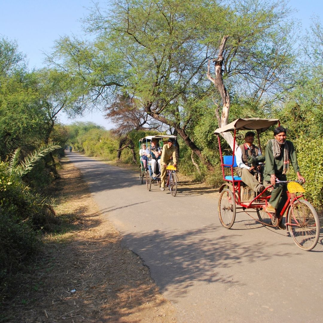 Images of Bharatpur Bird Sanctuary - Keoladeo National Park